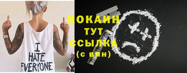 твердый Аркадак