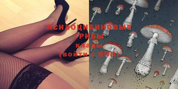 твердый Аркадак