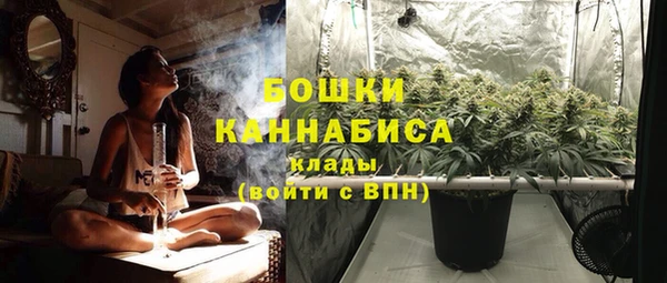 твердый Аркадак