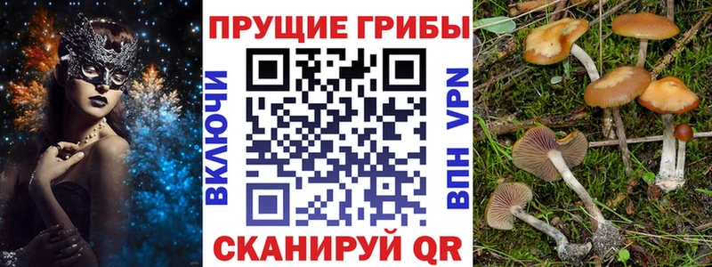 Галлюциногенные грибы GOLDEN TEACHER  что такое   Междуреченск 